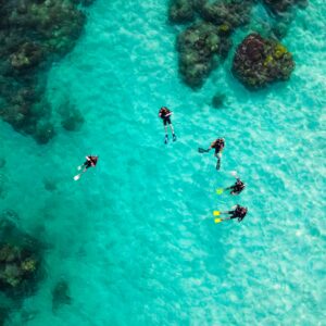 Reef Snorkeling